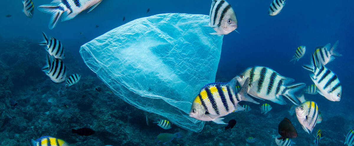 Plastikmüll im Ozean © Magnus Lundgren / Wild Wonders of China / WWF