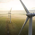 Windkrafträder auf einem Feld