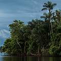 Ufer des Juruena Flusses © Zig Koch / WWF