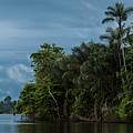 Ufer des Juruena Flusses © Zig Koch / WWF