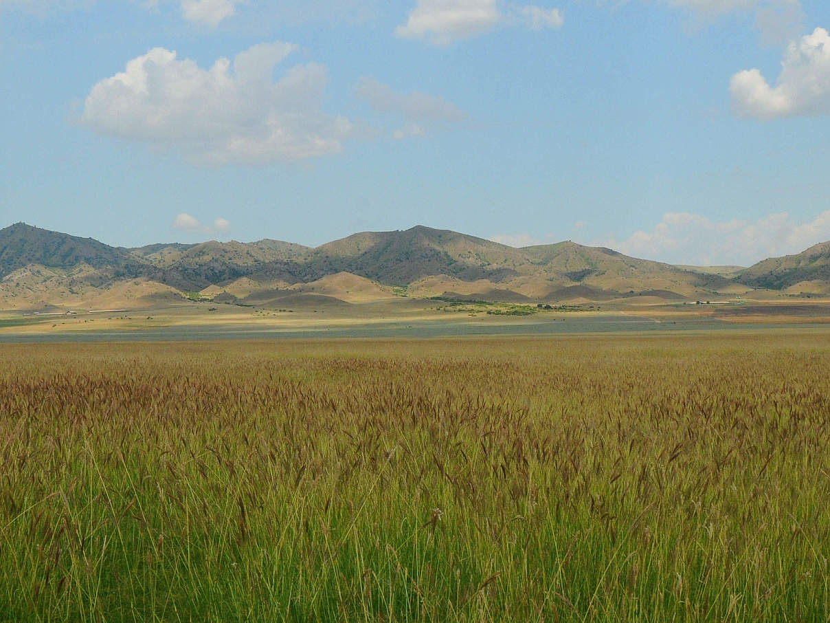 Landschaft im Kaukasus © Aurel Heidelberg / WWF Deutschland