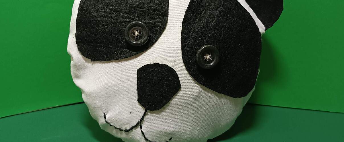 Pandakissen 