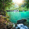 Regenwald in Guatemala © Shutterstock / soft_light / WWF
