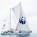 Die Blue Panda © Maite Baldi / WWF Frankreich