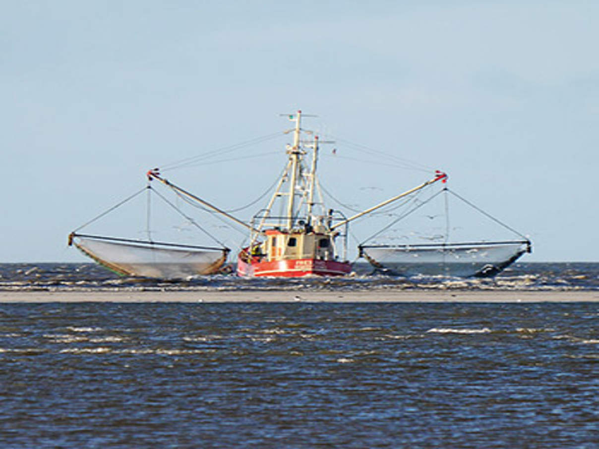 Fischerei auf Krabben ©Rösner / WWF 