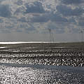Wattenmeer © Hans-Ulrich Roesner / WWF