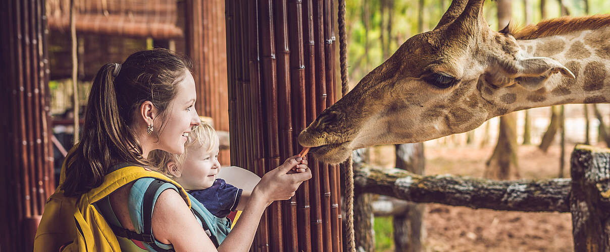 Eine Mutter mit Kind füttert eine Giraffe in einem Zoo © galitskaya/iStock/GettyImages