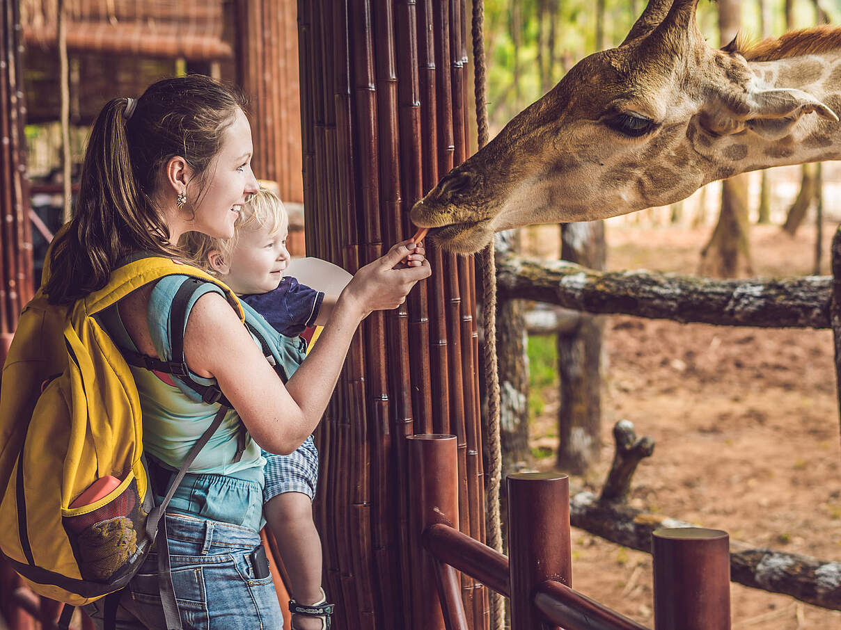 Eine Mutter mit Kind füttert eine Giraffe in einem Zoo © galitskaya/iStock/GettyImages