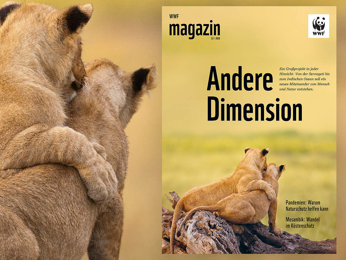 WWF Magazin 03/2020 © juniors@wildlife/Biosphoto
