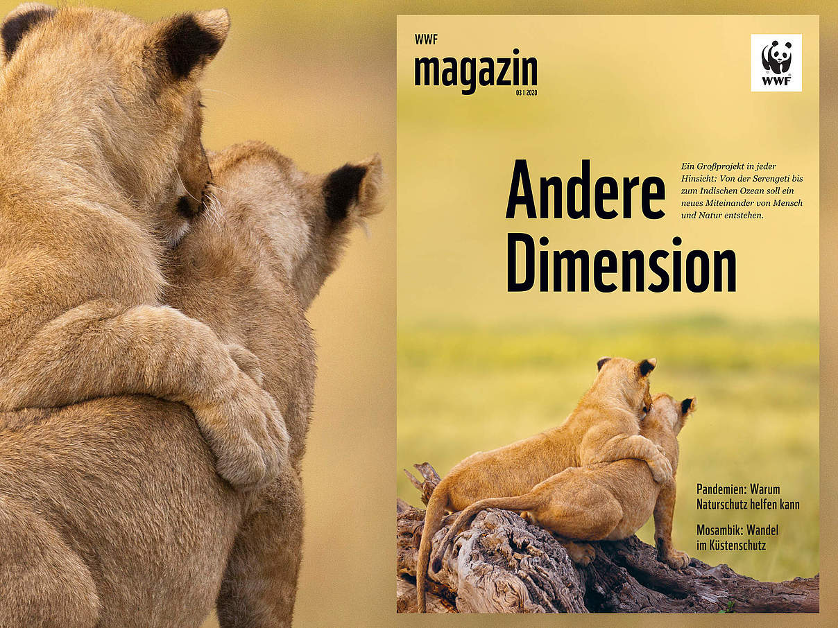 WWF Magazin 03/2020 © juniors@wildlife/Biosphoto