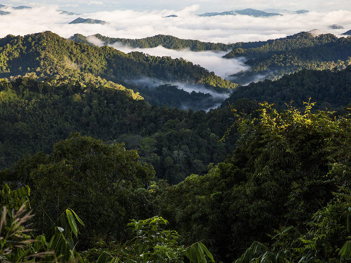 Greater-Mekong-Region © Hkun Lat / WWF Australia