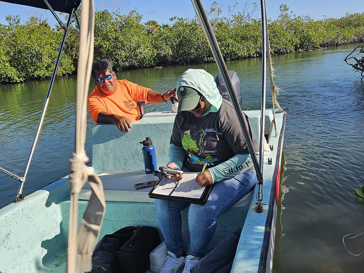 Abigail Garbutt bei der Mangrovenuntersuchung © WWF Mesoamérica