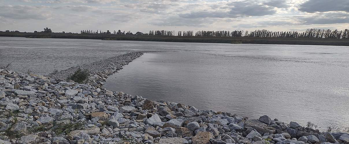 Neue Buhne im Zuge des Oder-Ausbaus © Tobias Schäfer / WWF