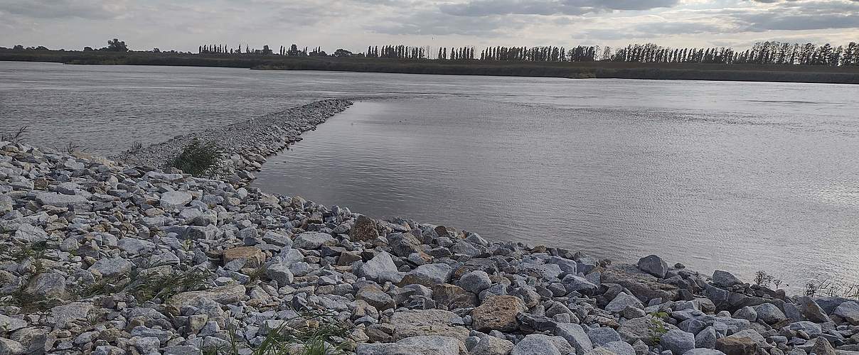 Neue Buhne im Zuge des Oder-Ausbaus © Tobias Schäfer / WWF