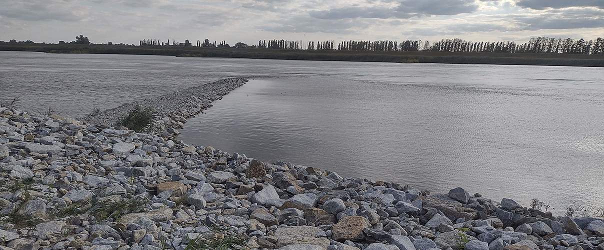 Neue Buhne im Zuge des Oder-Ausbaus © Tobias Schäfer / WWF