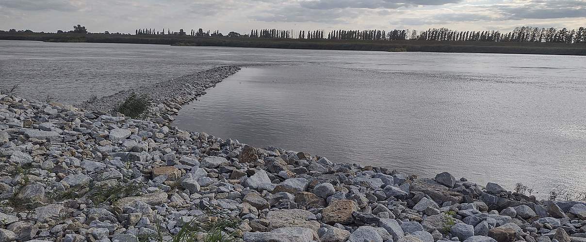 Neue Buhne im Zuge des Oder-Ausbaus © Tobias Schäfer / WWF
