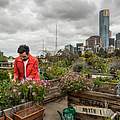 An der denkbar kürzesten Agrarlieferkette war diesem Mann in Melbourne gelegen. Er verwandelte das Dach eines Parkhauses kurzerhand in einen Gemüsegarten, den er an Selbstversorger der Stadt vermietete. Foto: naturepl.com / Doug Gimesy / WWF 