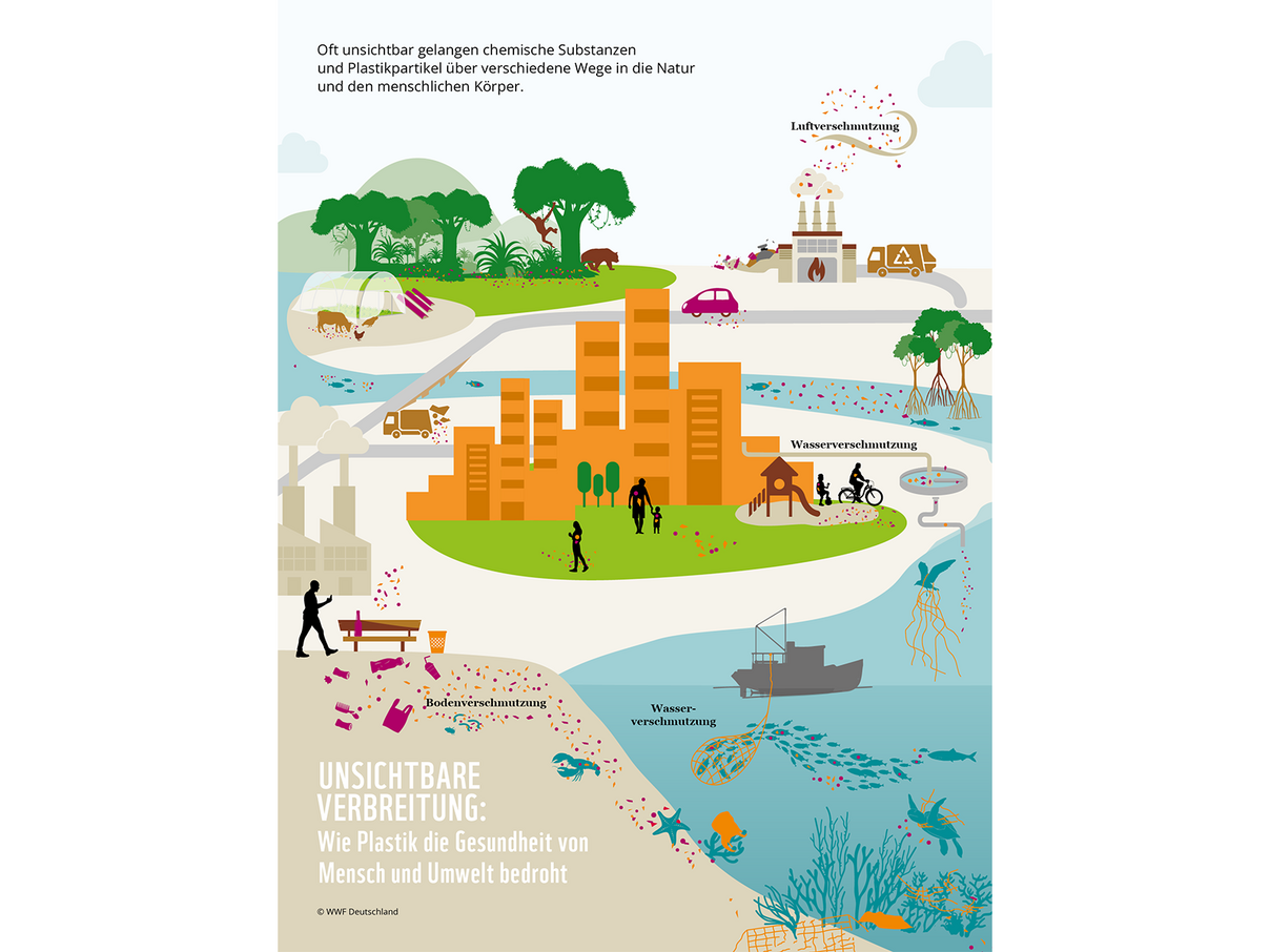 Grafik: Unsichtbare Verbreitung von Plastik © WWF Grafik: Unsichtbare Verbreitung von Plastik