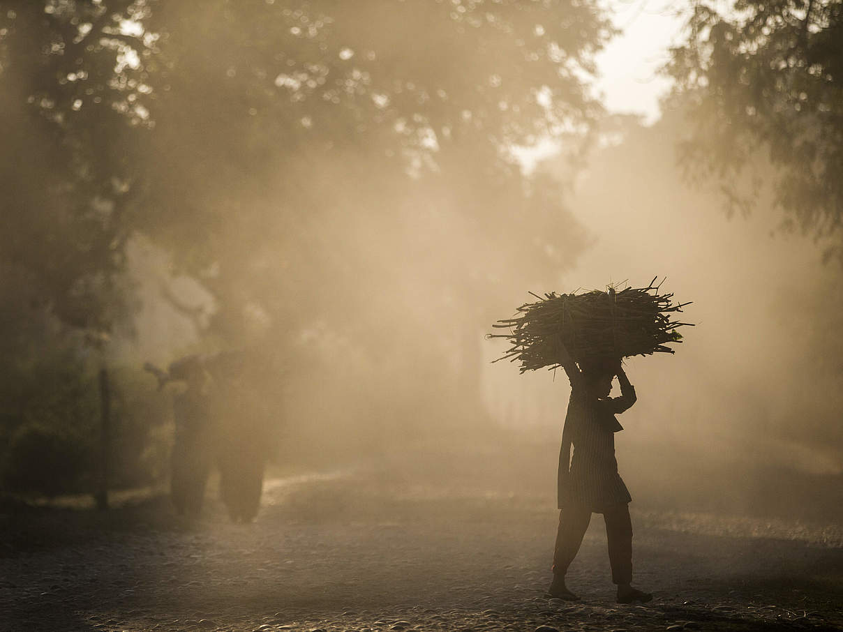 Frauen sammeln Feuerholz im Khata-Korridor, ein Tigergebiet in Bardia / Nepal © James Morgan / WWF-US