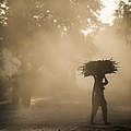 Frauen sammeln Feuerholz im Khata-Korridor, ein Tigergebiet in Bardia / Nepal © James Morgan / WWF-US