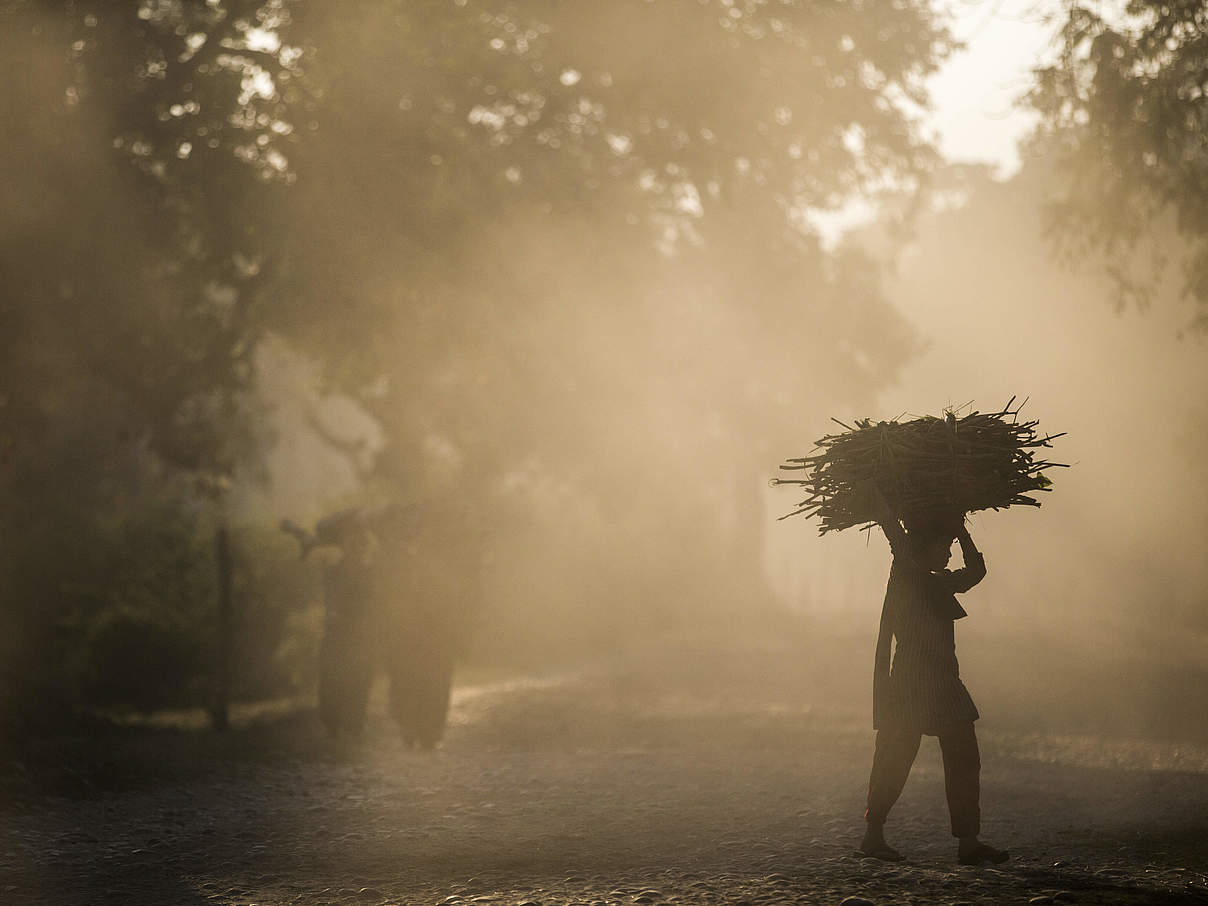 Frauen sammeln Feuerholz im Khata-Korridor, ein Tigergebiet in Bardia / Nepal © James Morgan / WWF-US