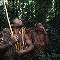 Eine Gruppe der Baka sammeln und jagen mit traditionellen Methoden © Martin Harvey / WWF