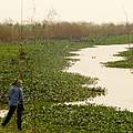 Feuchtlandschaft im Pantanal © Gianfranco Mancusi / WWF Paraguay