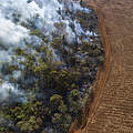Brandrodung für Sojaanbau im Cerrado © Andre Dib / WWF Brazil
