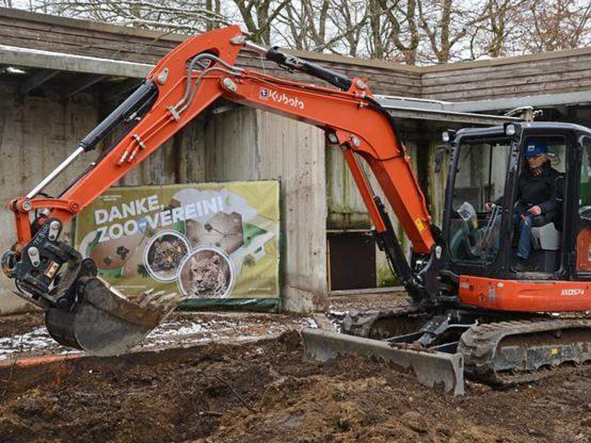 Leoparden Baustelle im Allwetterzoo Münster © Allwetterzoo Münster