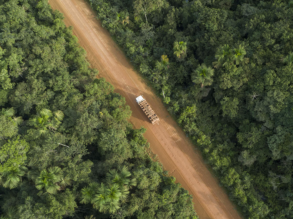 Holztransport auf dem Transamazonas Highway © Andre Dib / WWF-Brazil