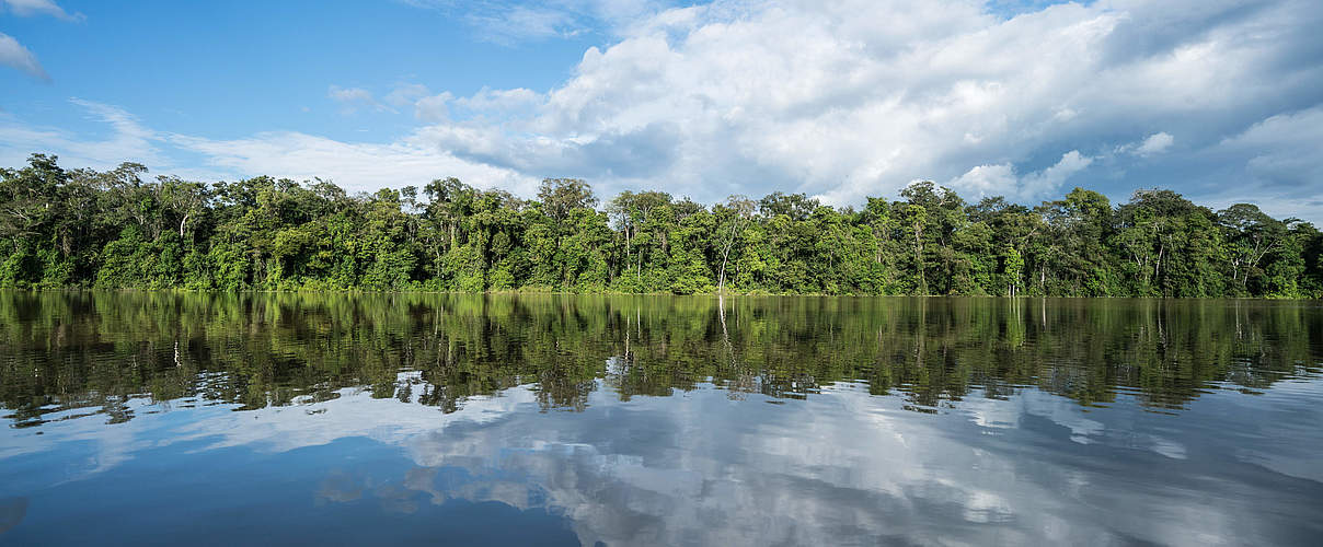 Blick auf das Schutzgebiet Bajo Caguán © Luis Barreto Photos