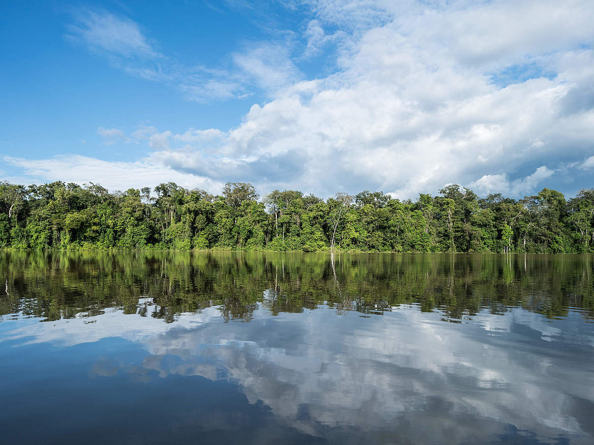 Amazonien Amazonas Regenwald Retten