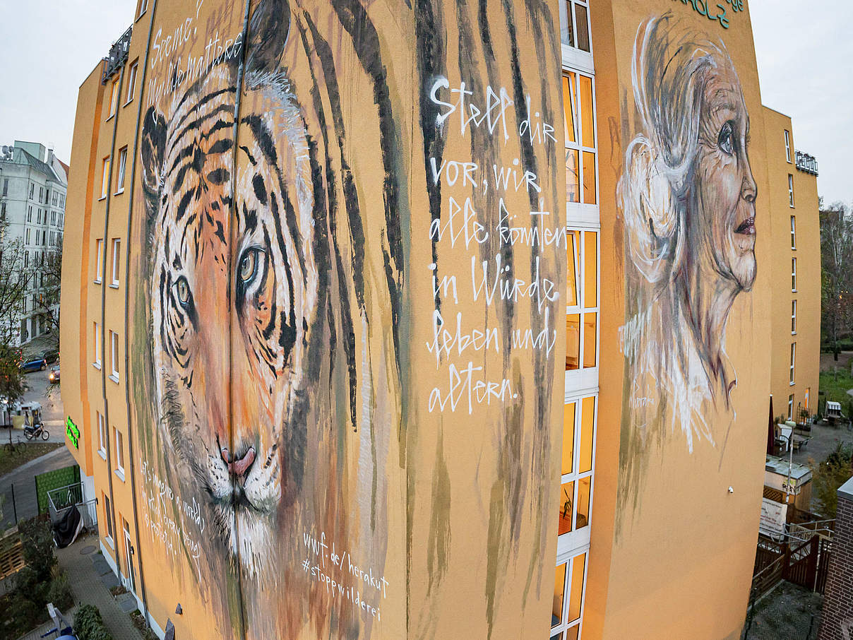 Streetart Tiger von Herakut © Jörg Farys / WWF