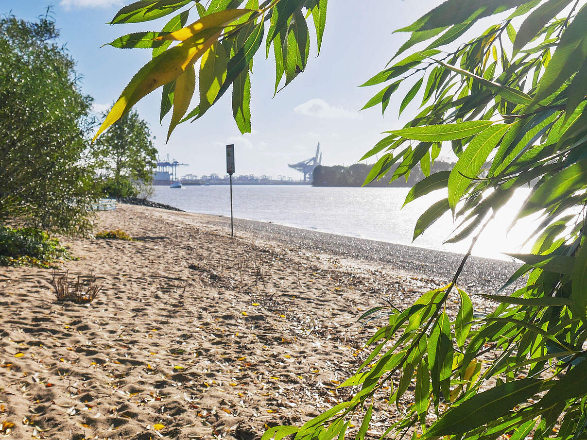 Elbstrand in Hamburg 