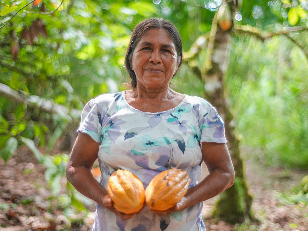 Ernte des Kakaos © Gabriel Vanerio / WWF Ecuador