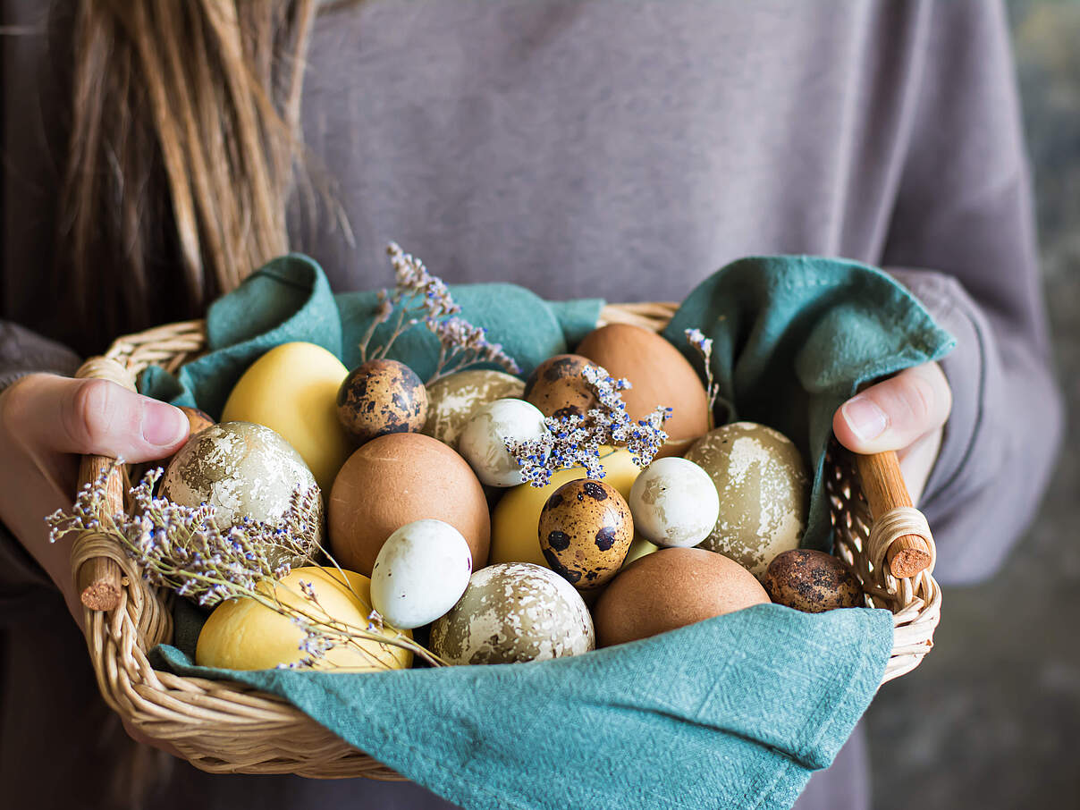 Ein Korb in weiblichen Händen mit unterschiedlich großen Eiern, die umweltfreundlich mit Kurkuma, Hibiskus und schwarzem Tee gefärbt sind.