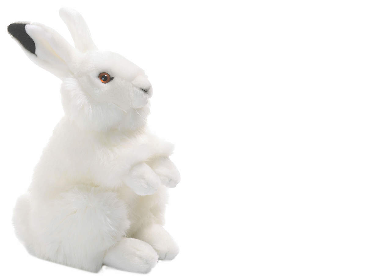 Schneehase © WWF Schneehase © WWF