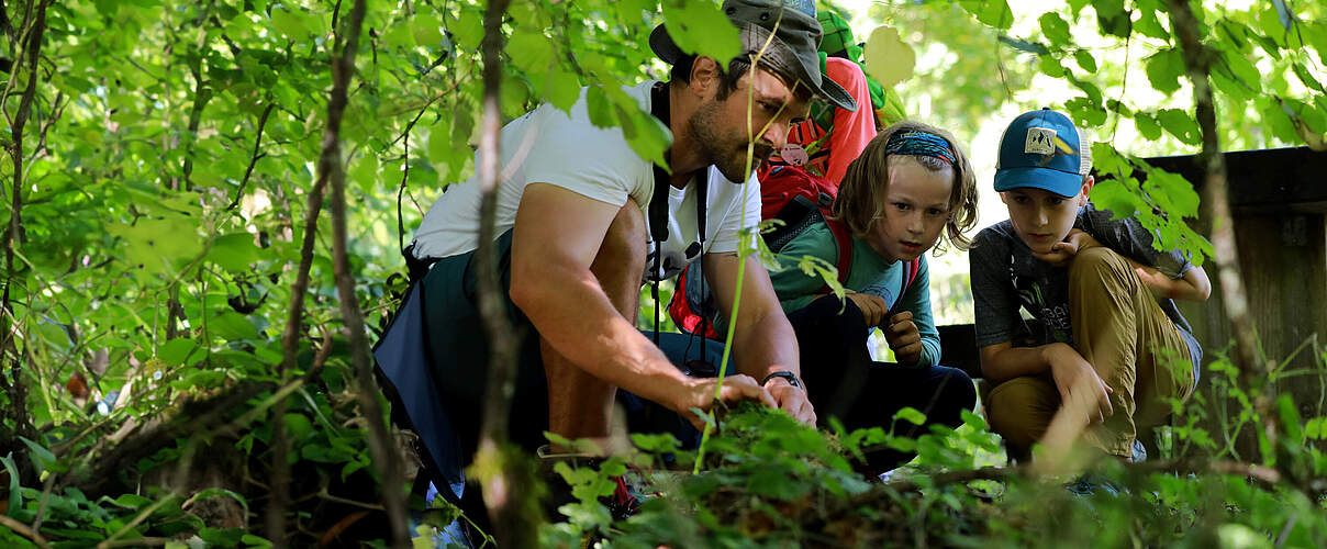Familie in der Natur © Ronja Bachhofer / WWF