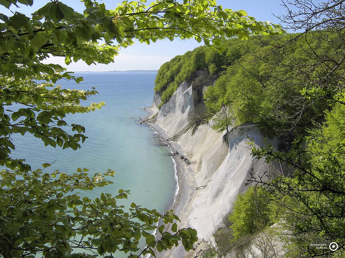 Kreideküste an der Ostsee