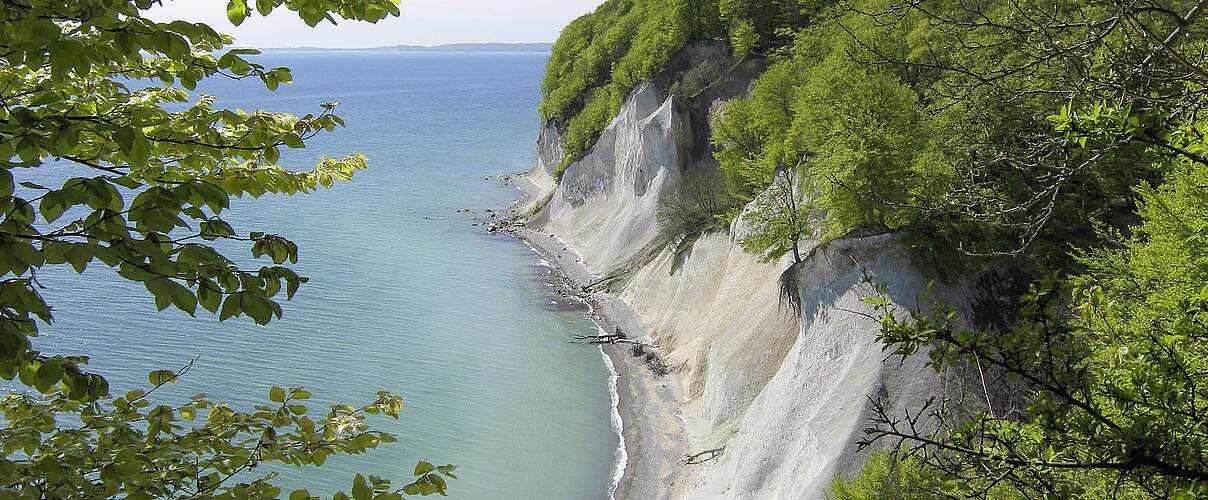 Kreideküste an der Ostsee
