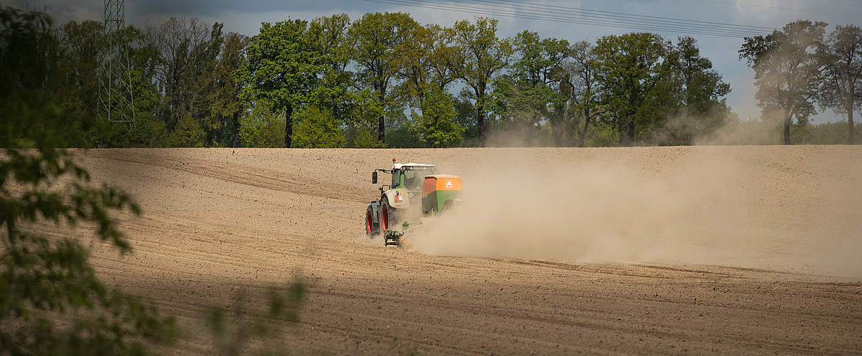 Feldarbeiten in Brandenburg © Sonja Ritter / WWF