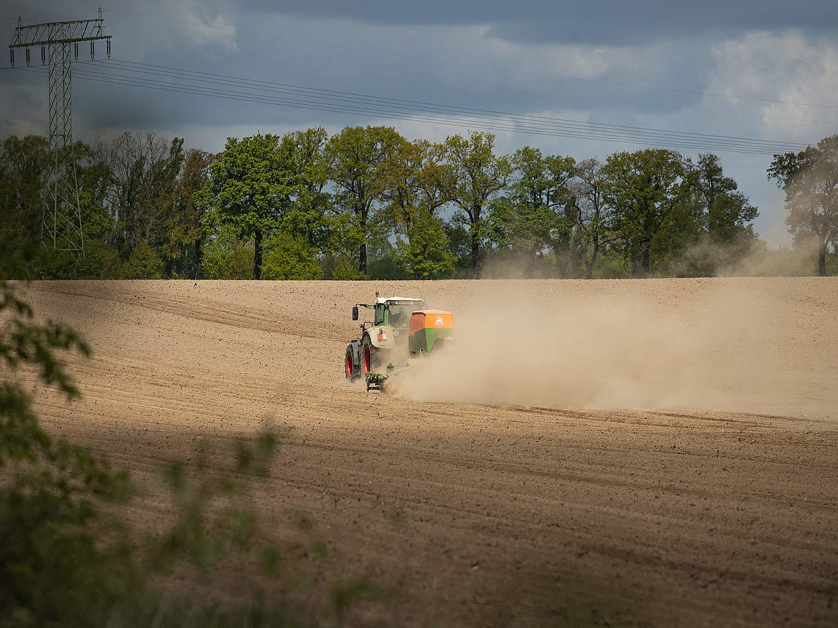 Feldarbeiten in Brandenburg © Sonja Ritter / WWF