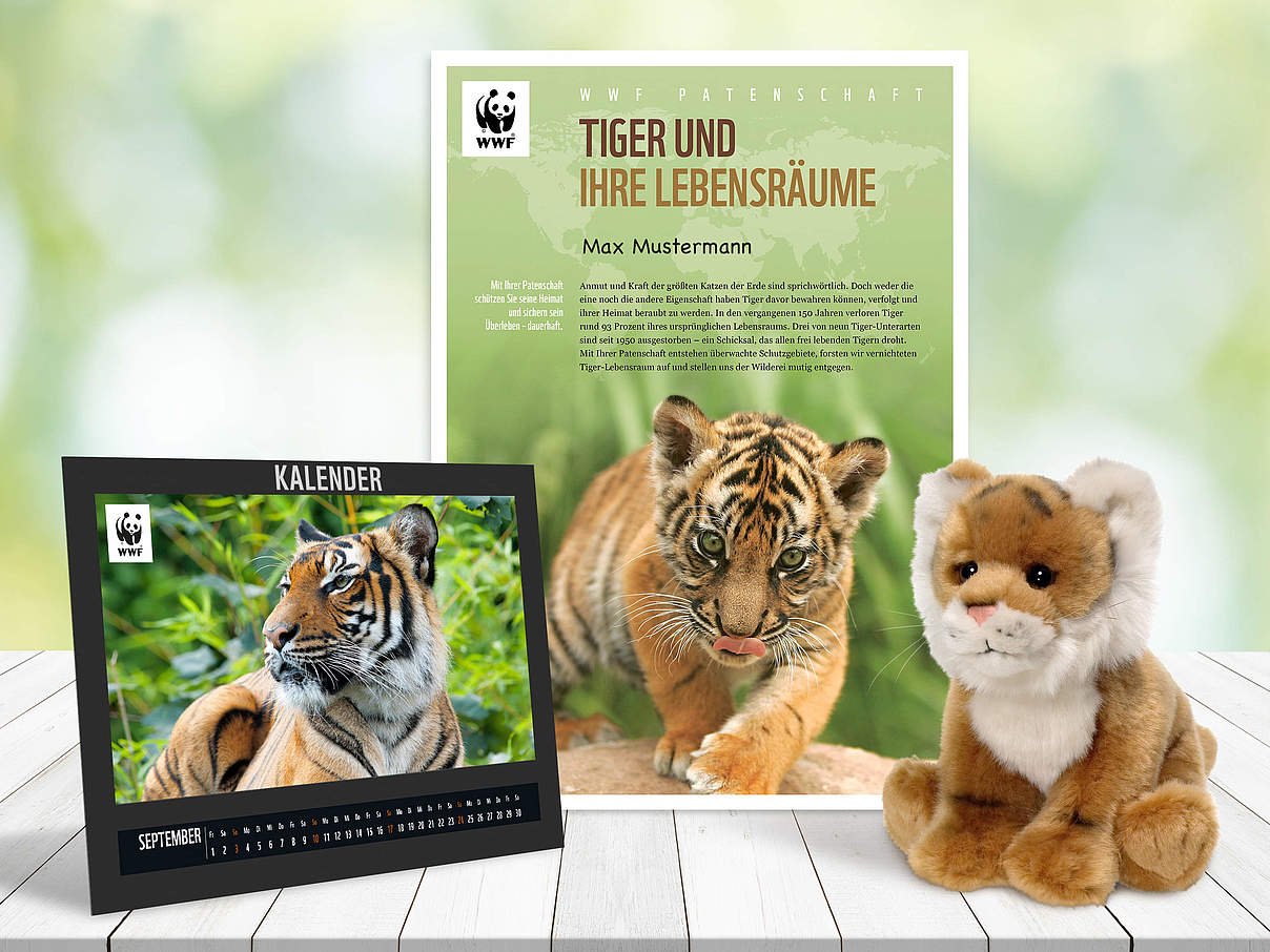 Begrüßungspaket Tiger-Patenschaft © WWF