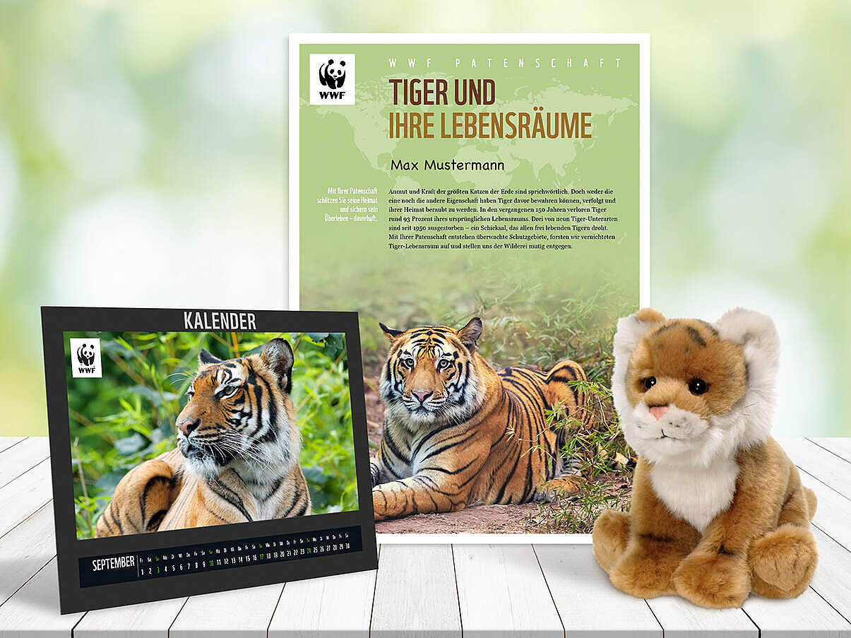 Begrüßungspaket Tiger-Patenschaft © WWF