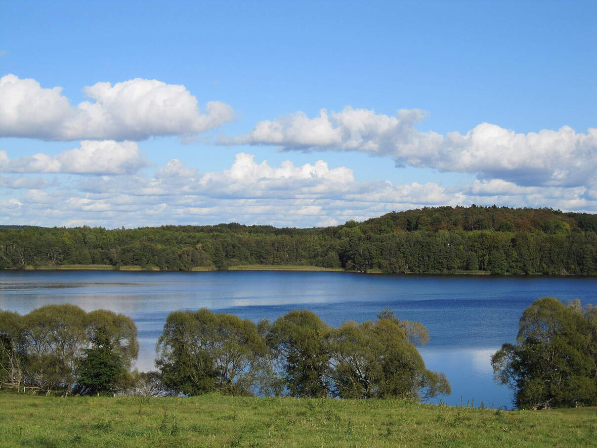 Schaalsee © Marko Freckman / WWF