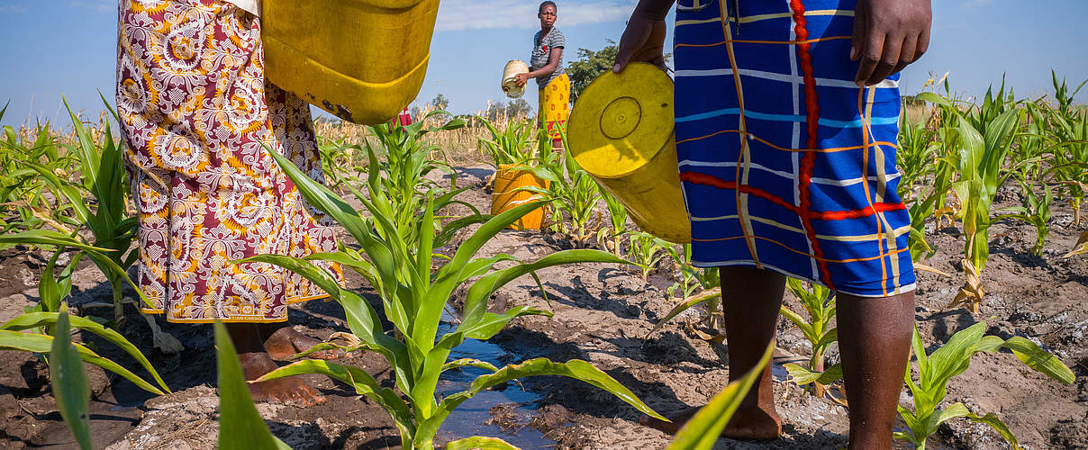 Frauen bewässern Feld © Jasper Doest / WWF