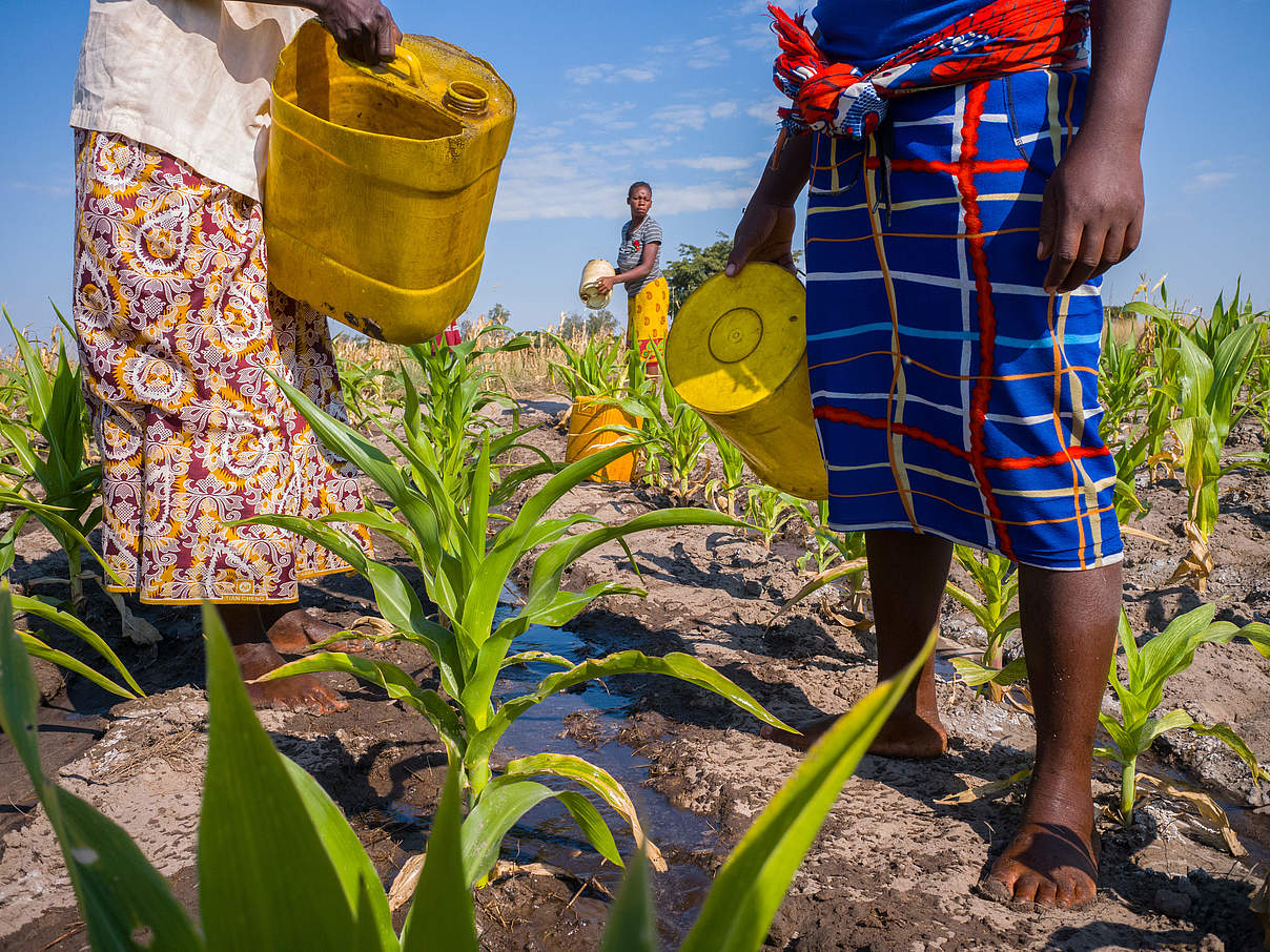 Frauen bewässern Feld © Jasper Doest / WWF