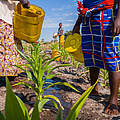 Frauen bewässern Feld © Jasper Doest / WWF