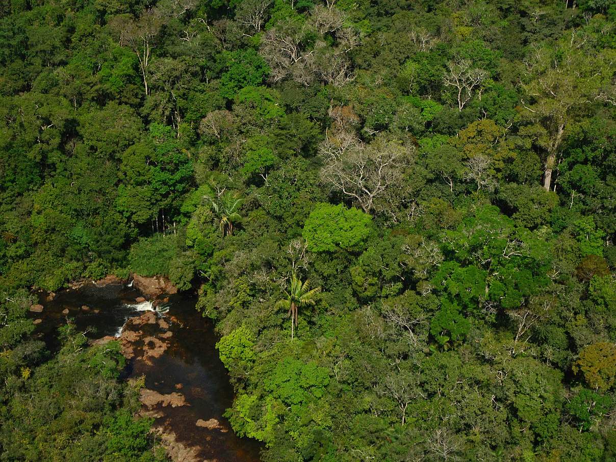 Sucundurí Fluss © Zig Koch / WWF Brasilien