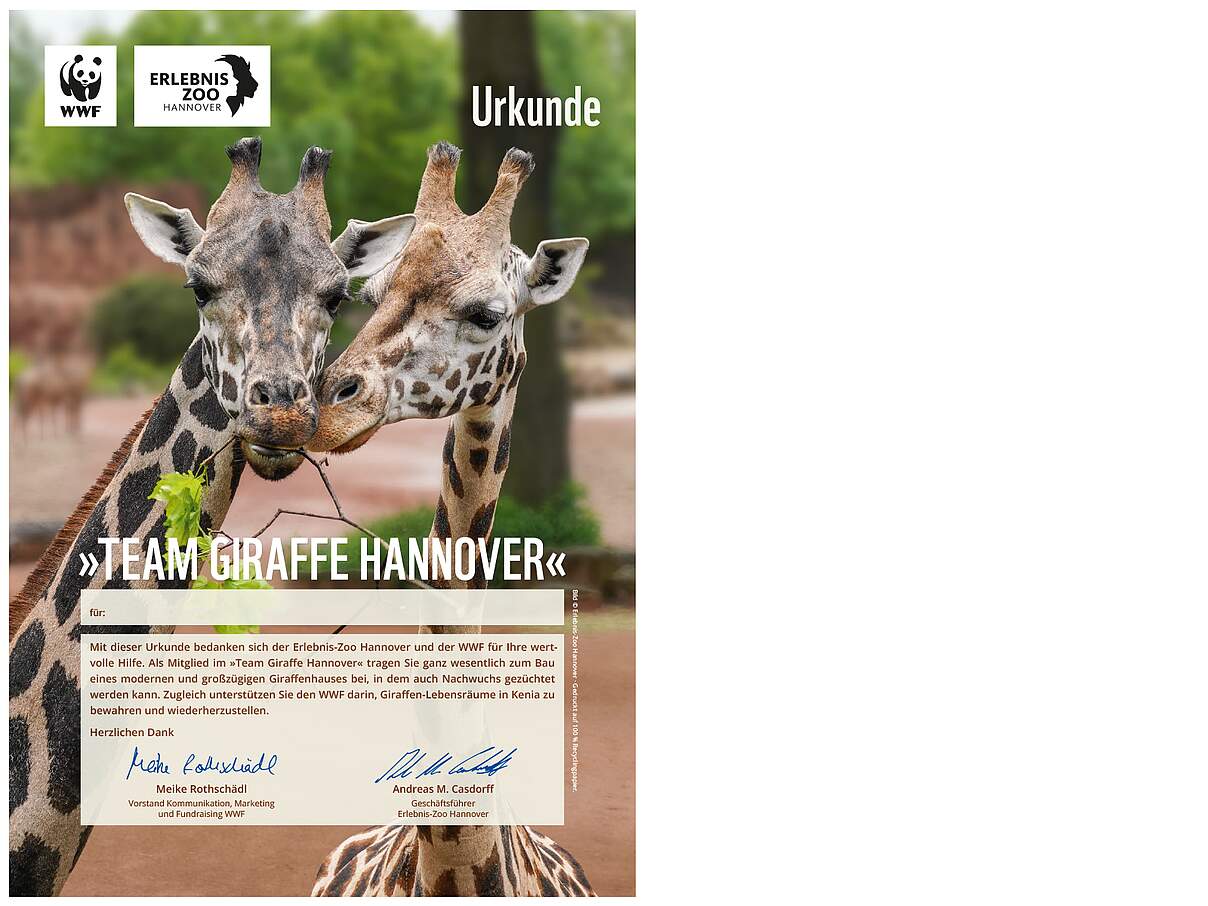 Urkunde »Team Giraffe Hannover« © WWF
